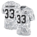 Pouc GB.Packers #33 Evan Williams Player Arctic Camo Salute To Service Limited Stitched Jerseys