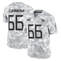Pouc T.Titans #66 Fernando Carmona Jr. Player Arctic Camo Limited Salute to Service Home Game Stitched Jerseys